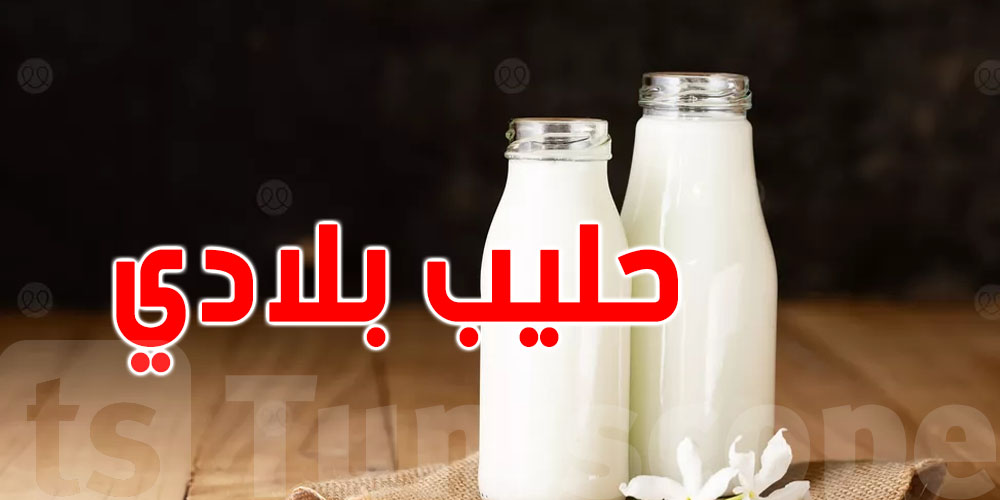 حليب جديد...قريبا في الأسواق التونسية: شنوّا حكايته؟