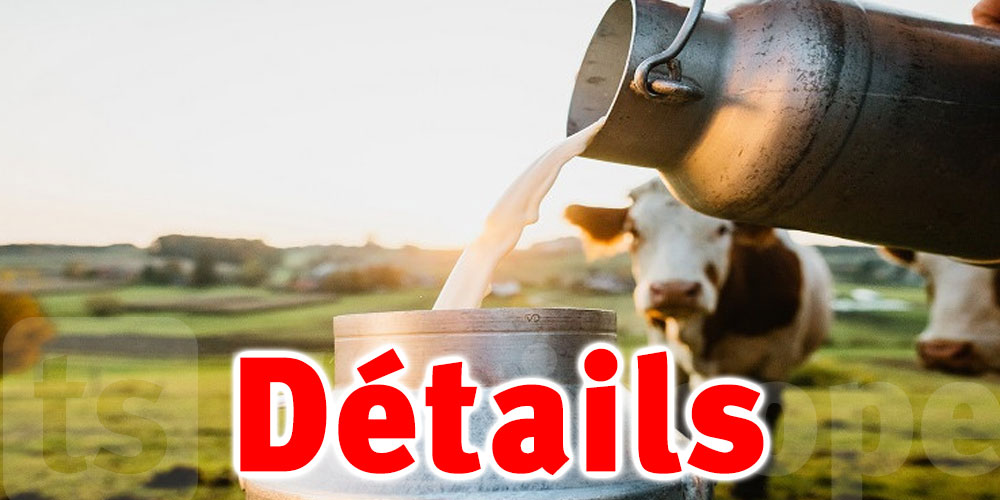 Tunisie : Qu'est-il en train de se passer dans le secteur du lait ?