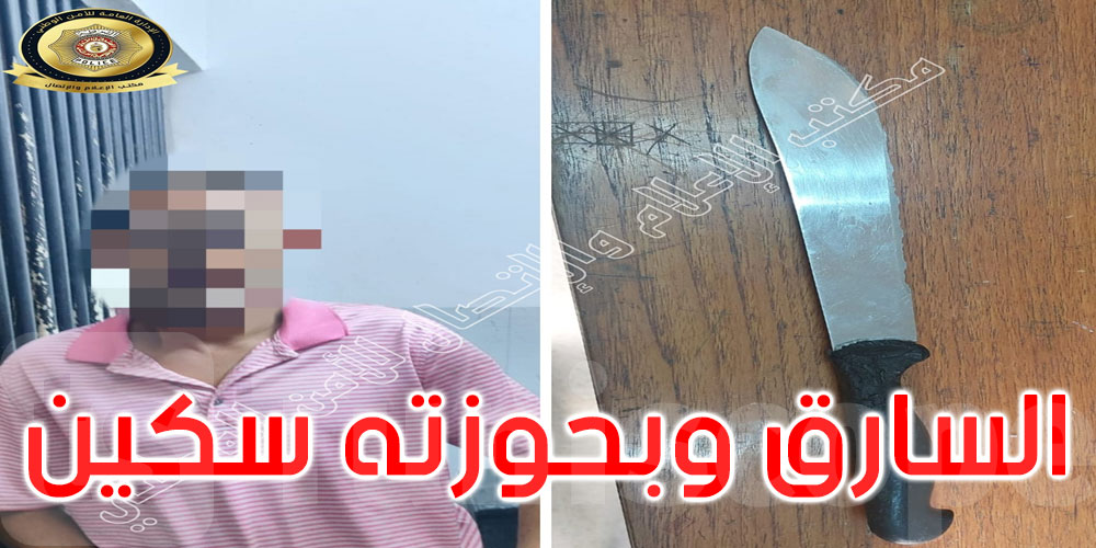المرسى: مكّنته من مفتاح سيارتها ظنا منها أنه مكلّف بتأمين مأوى السيارات فسرقها وهرب