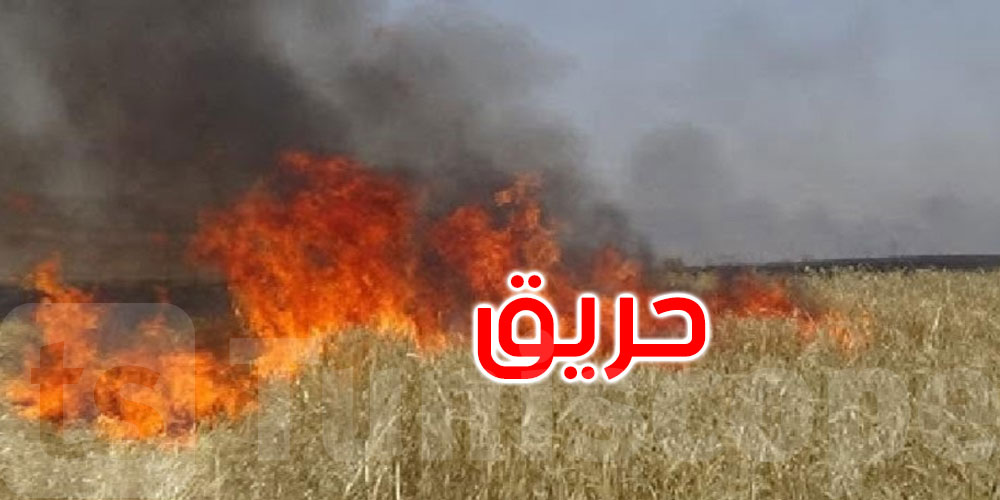الكاف: حريق يتسبب في إتلاف مساحة تُقدّر بحوالي 120 هكتارًا