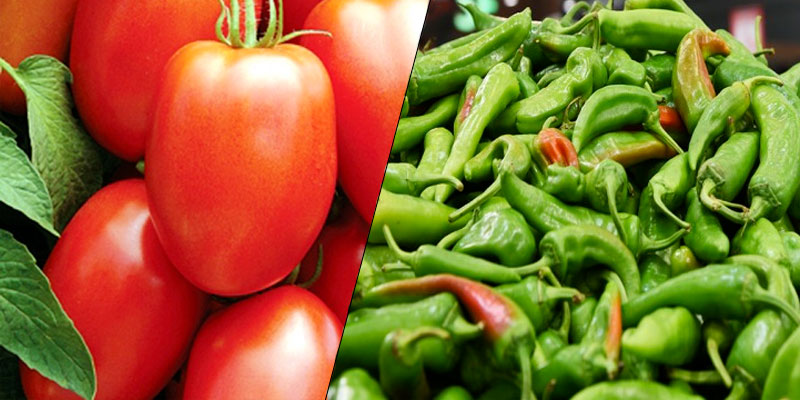 Les prix du piment et des tomates ont baissé, affirme le ministre du Commerce 