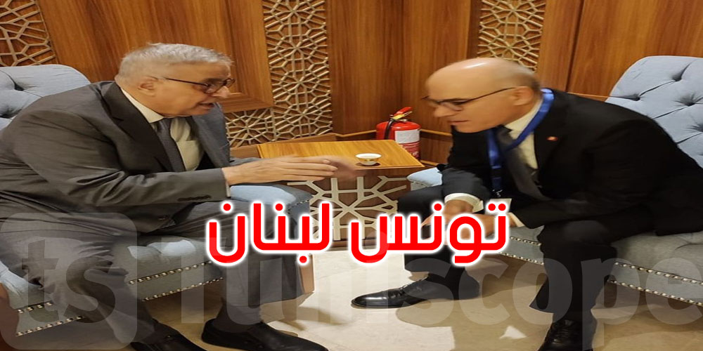تطورات الأوضاع في الأراضي الفلسطينية محور لقاء وزير الخارجية بنظيره اللبناني