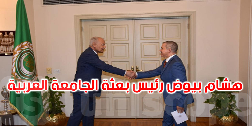 عاجل: كاتب عام وزارة الشؤون الخارجية سفيرا رئيسا لبعثة الجامعة العربية بجينيف