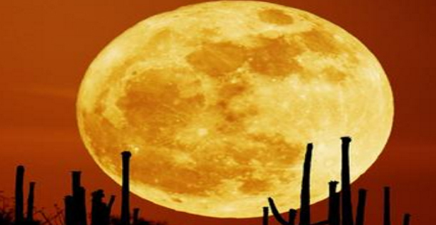 القمر العملاق’ يظهر للعالم في 14 نوفمبر وهو الأكبر منذ 70 عاما