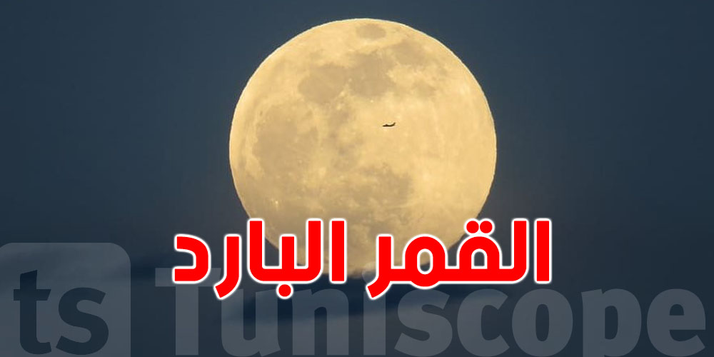 السماء تتزيّن بالقمر البارد.. آخر بدر في 2025..شوف وقتاش