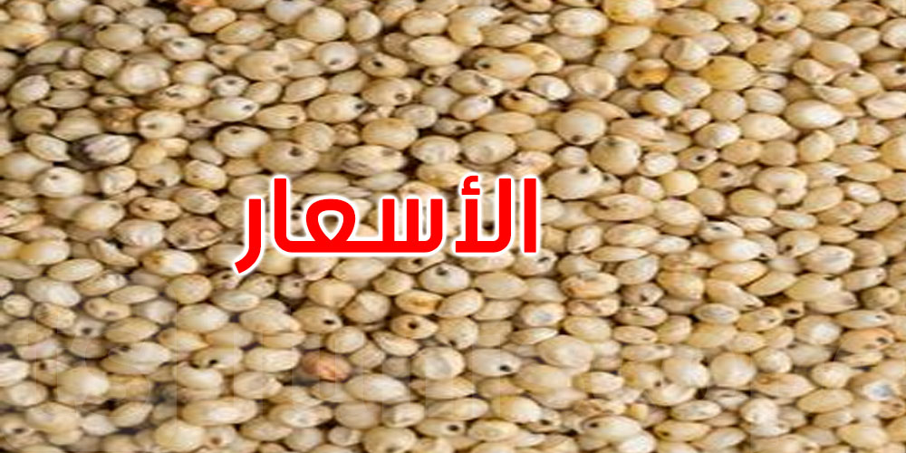 بدايةً من الثلاثاء.. ديوان الأعلاف يُحدّد أسعار بيع حبوب الذرة