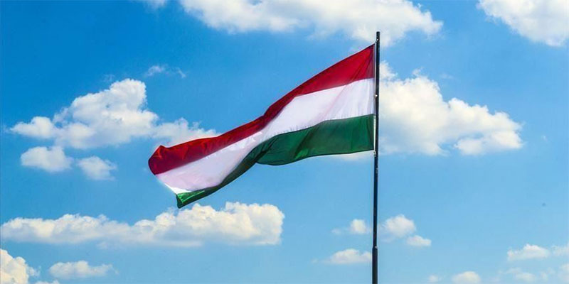 المجر، ارتفاع قتلى العبارة الغارقة بـ''الدانوب '' إلى 17