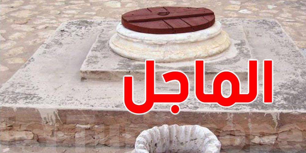 الدولة تعاون التوانسة: خذ قرض يوصل لـ 20 مليون واعمّل ماجل