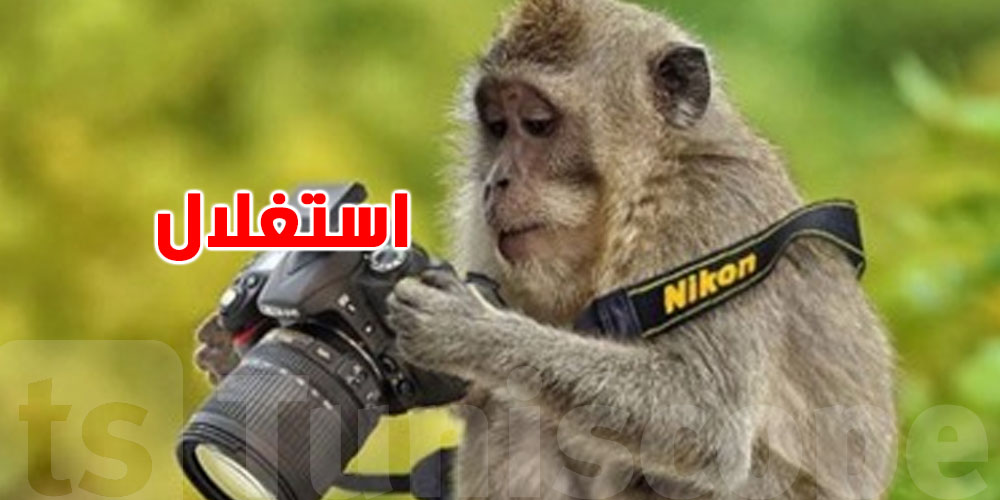 حيوان مهدد بالانقراض يُستغلّ في السوشيال ميديا… ما القصة؟