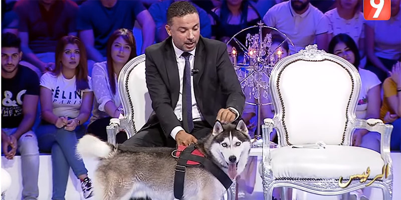 Photos : Seifeddine Makhlouf emmène son chien à une émission TV
