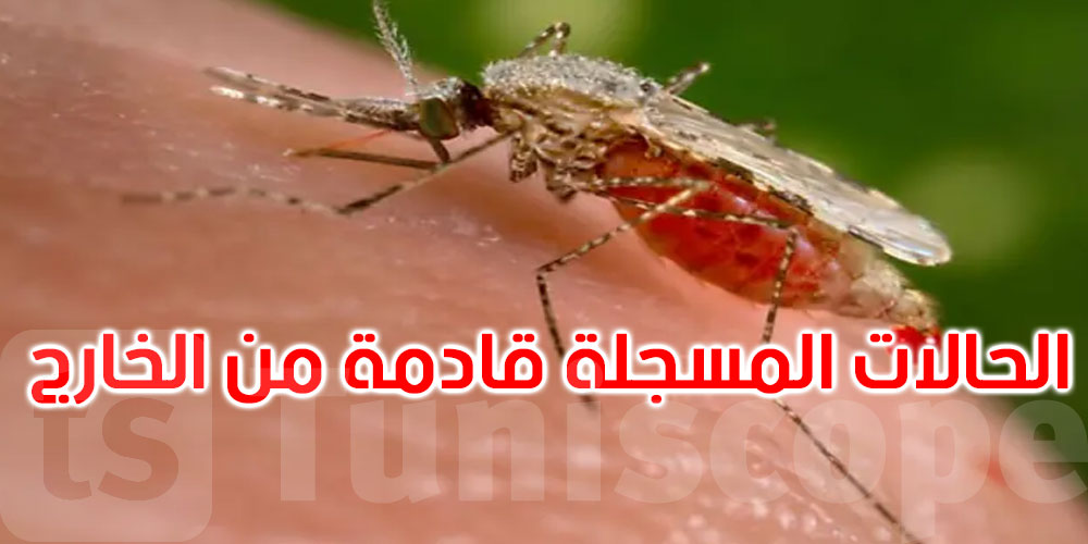 وزارة الصحة: تونس لم تسجل أي حالة محلية حاملة للملاريا منذ 79 