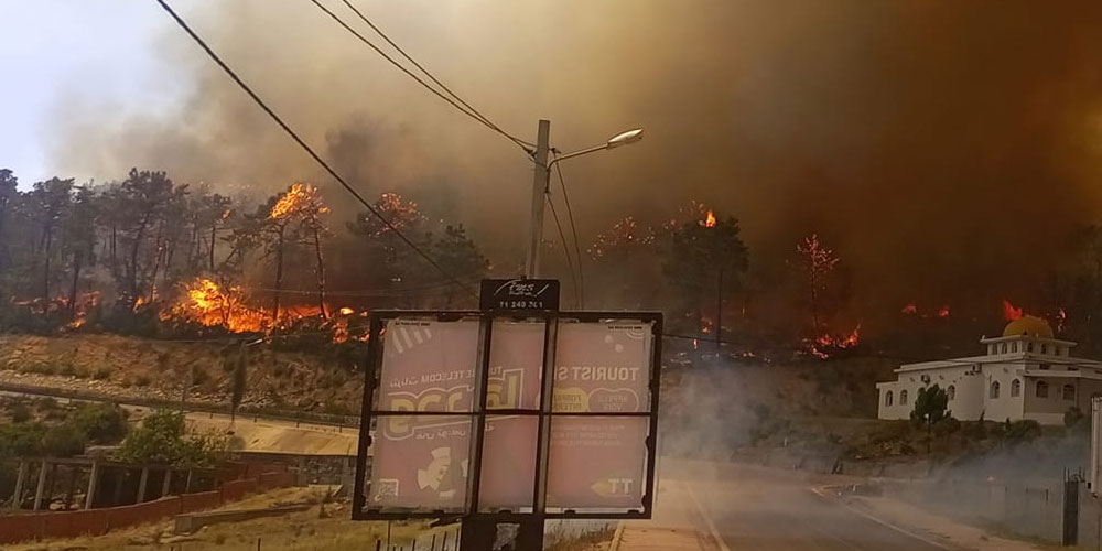 Urgent, Tabarka : L’incendie s’est propagé à Melloula et évacuation des habitants en cours