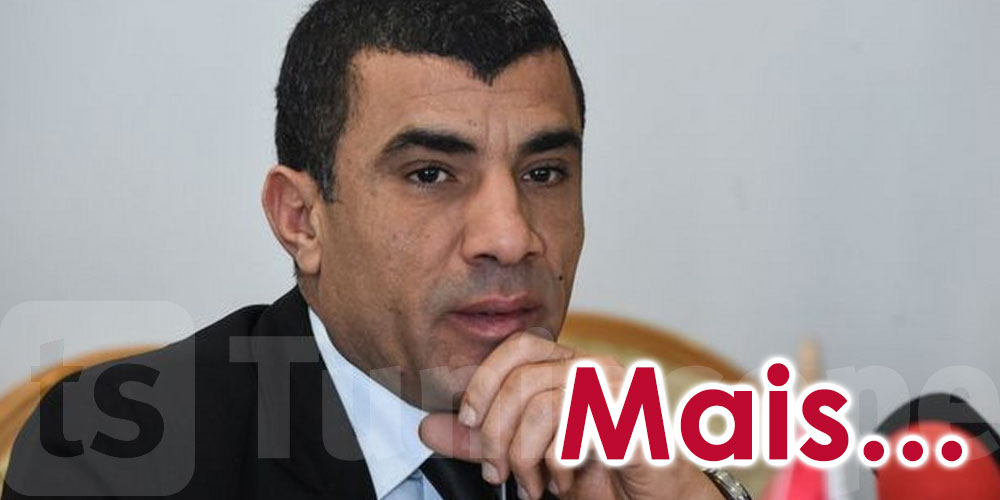 Mnasri: Le taux de participation au référendum est insatisfaisant mais...