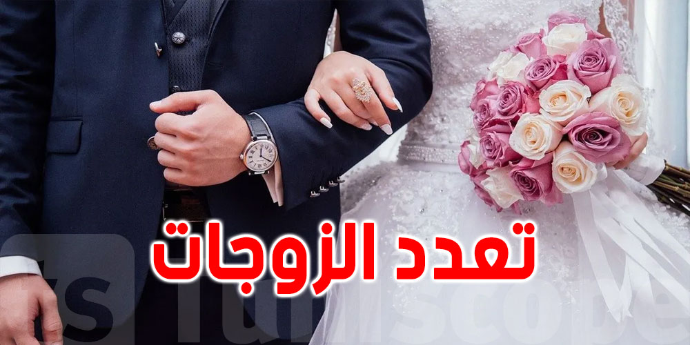 منع تعدد الزواج، قانون جديد للأحوال الشخصية في مصر