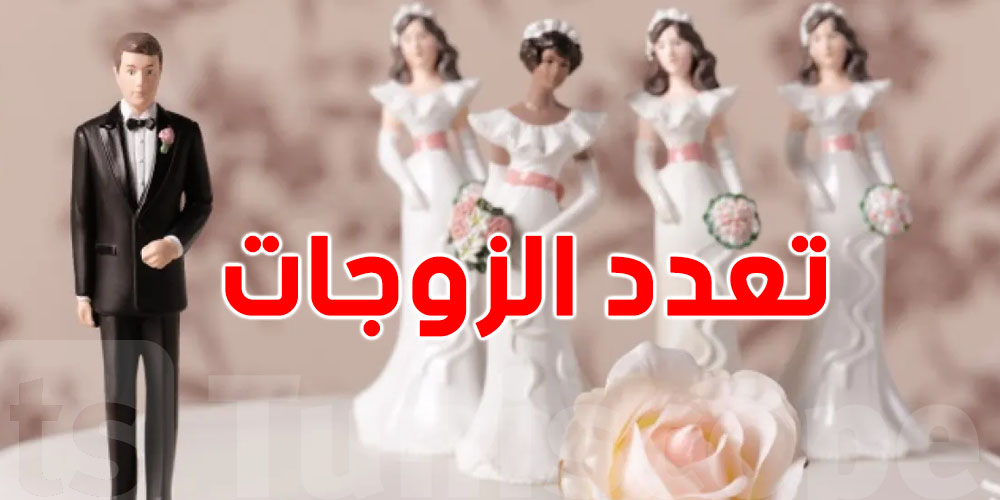 نائب بالبرلمان: ''تعدّد الزوجات فيه حل لعديد مشاكل المجتمع'''