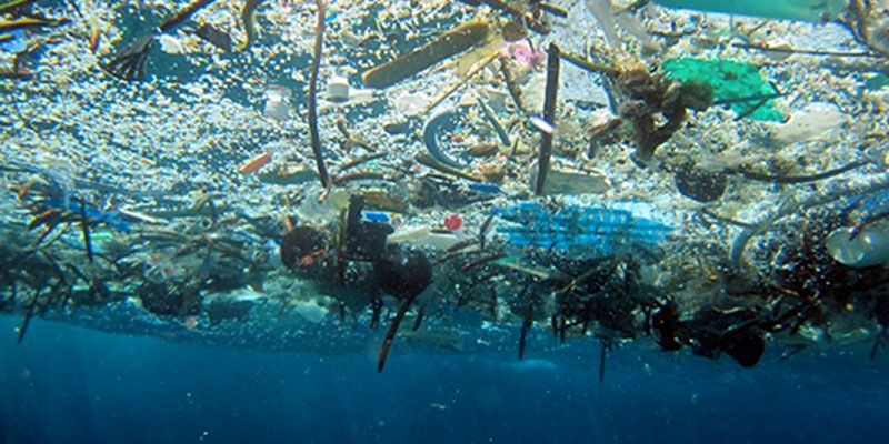 Déchets marins : véritable fléau à exterminer
