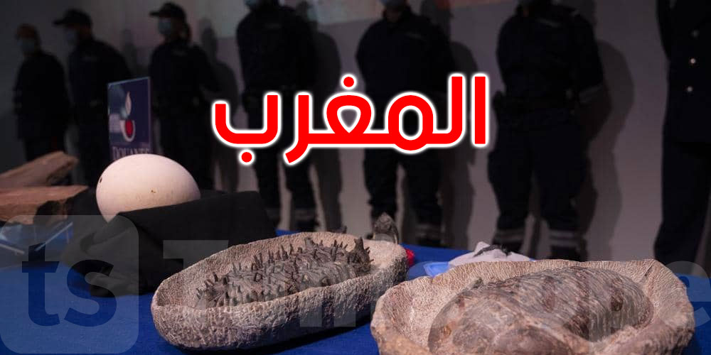 المغرب يتسلم آلاف القطع الأثرية المنهوبة من فرنسا