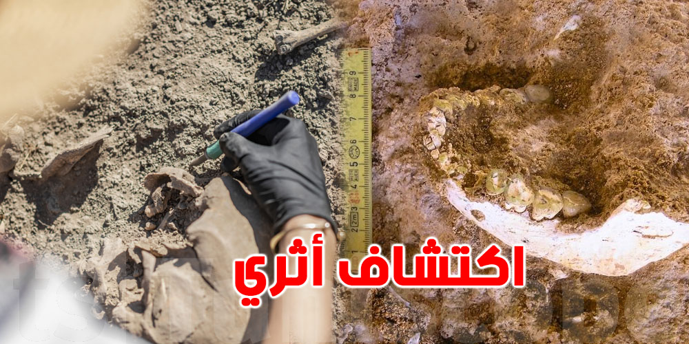 اكتشاف أثري خطير في المغرب… هل يتغيّر تاريخ تطوّر الإنسان؟