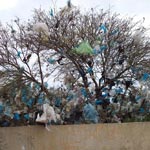 En photo : Comment un enfant perçoit-il La Marsa