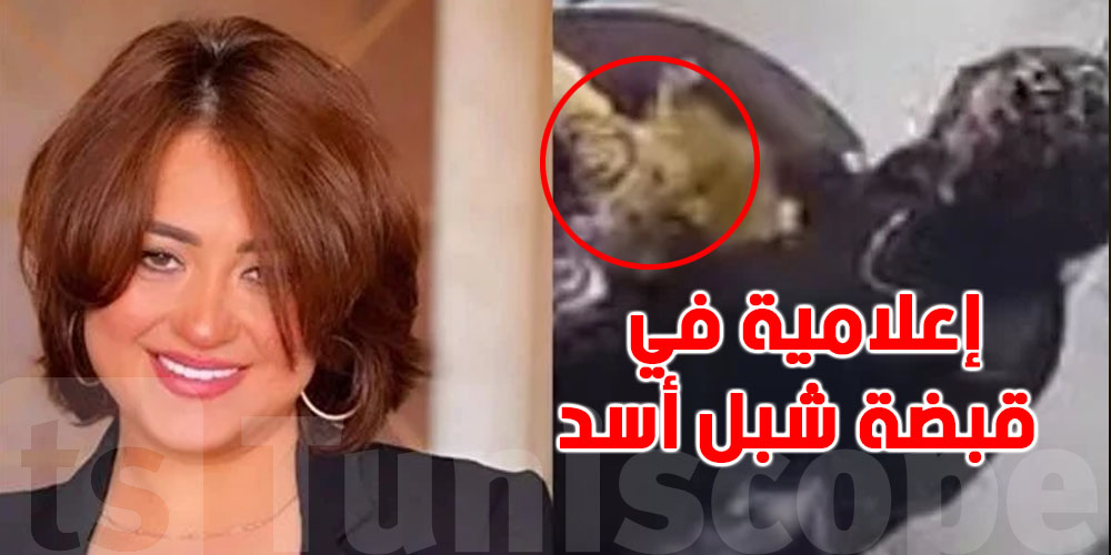 رعب في المباشر: شبل أسد يهاجم إعلامية داخل الاستوديو