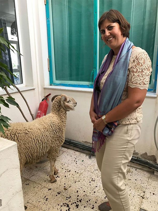 En photos : L’ambassadrice du Canada fait don d'un mouton à l’occasion de l’Aïd al-Adha
