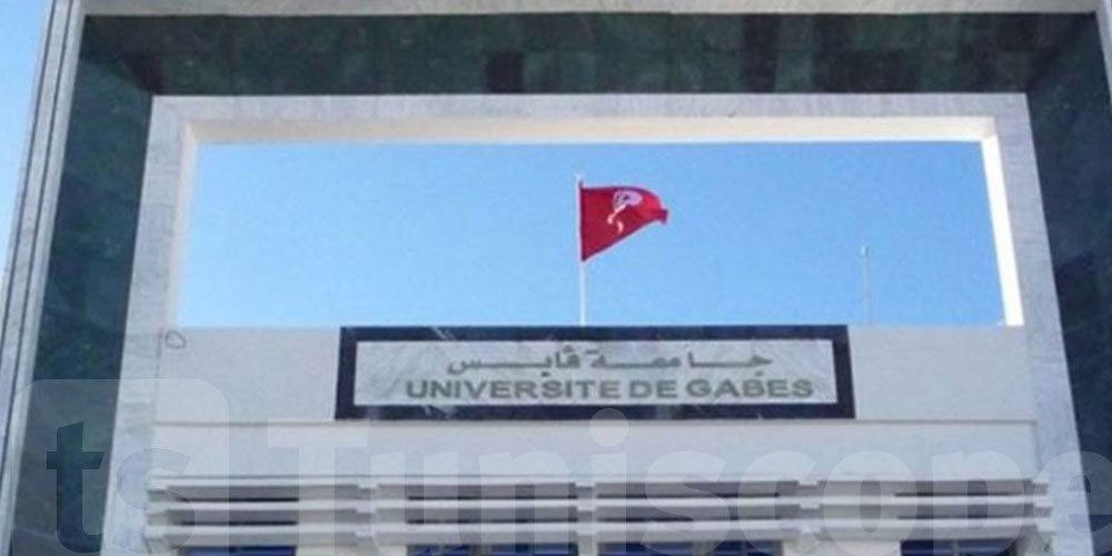 جامعة قابس تتصدر وطنيا في علوم الحياة وتتألق في تصنيف التايمز