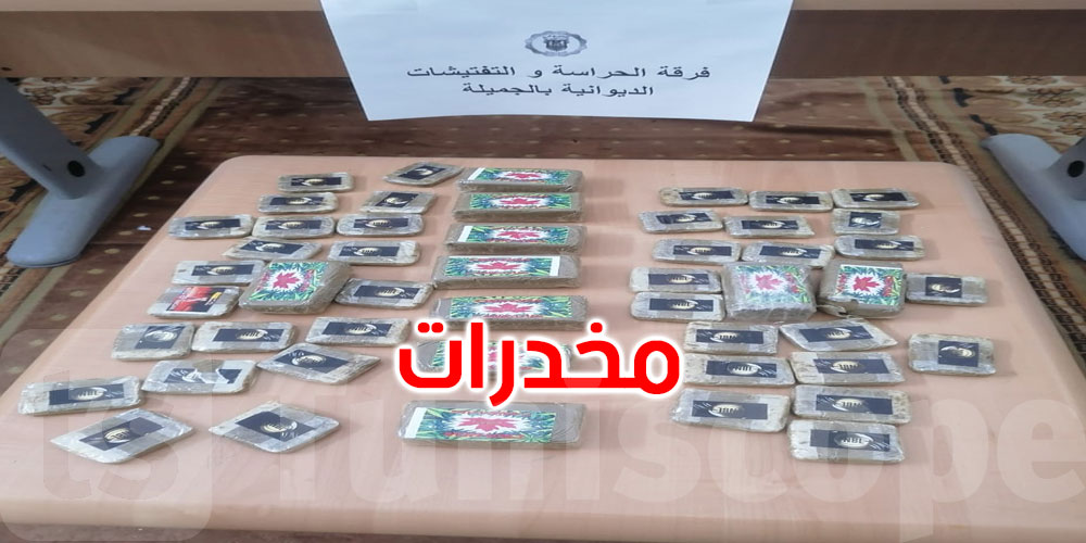 الحرس الديواني بمدنين: إحباط تهريب 50 صفيحة من مخدر القنب الهندي تزن إجمالا 2 كغ