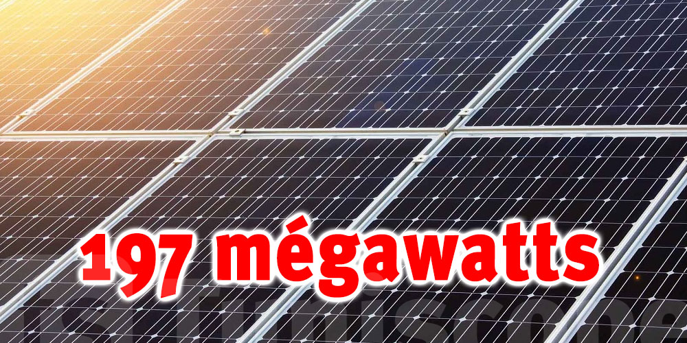 Réalisation d'une centrale solaire d'une capacité de 197mégawatts 