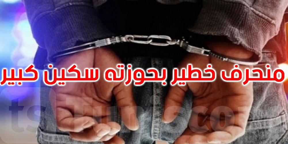 الملاسين: القبض على منحرف خطير محل 27 منشور تفتيش