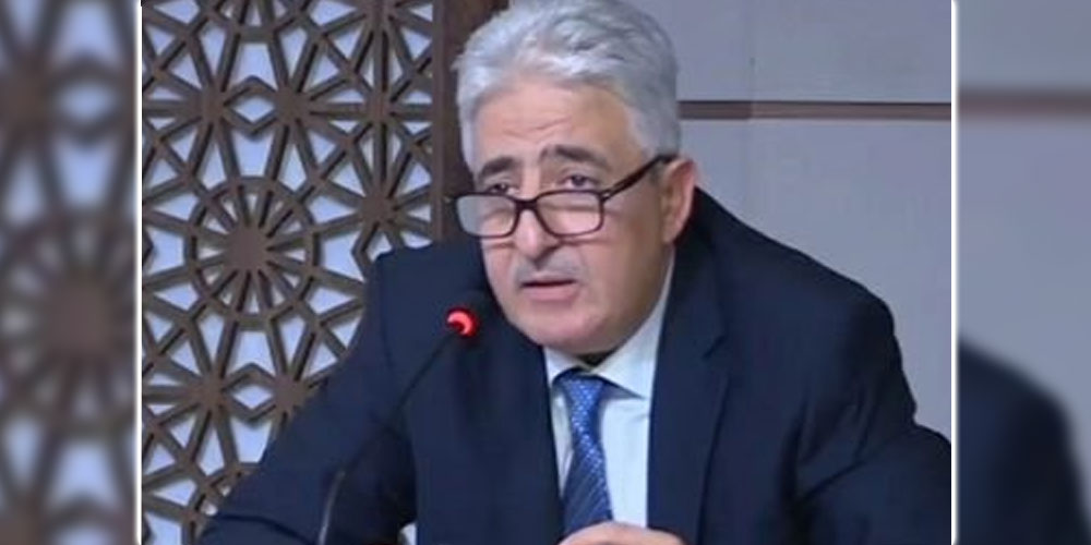 من هو عماد مميش وزير الدفاع في حكومة نجلاء بو دن ؟ 