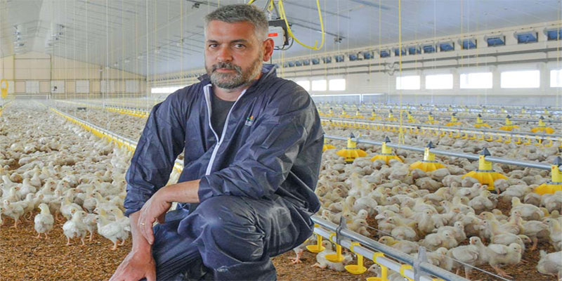 En Tunisie, la contrebande et l’abattage clandestin menacent la filière avicole