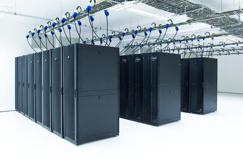 meninx-220413-2.jpg