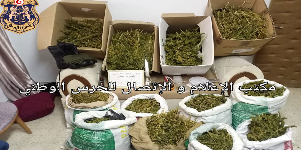 حجز كمية هامة من مخدر الماريخوانا والكوكايين في مداهمة منزل وضيعة فلاحية