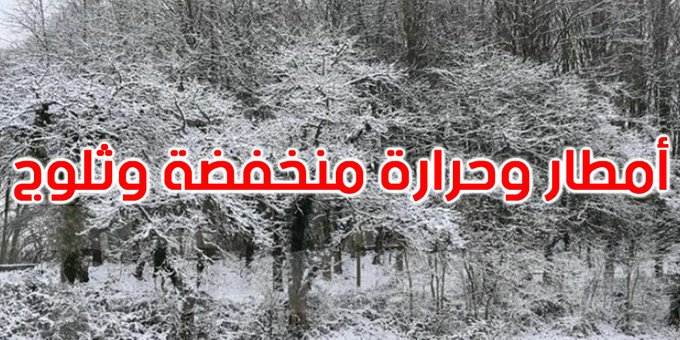 تونس : أمطار رعدية وتساقط للثلوج في هذه المناطق