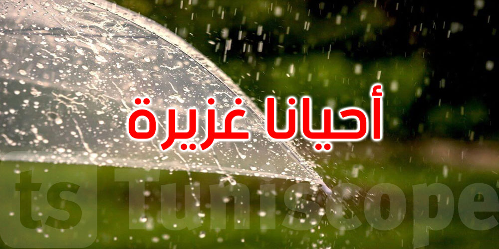 الليلة: أمطار بهذه المناطق والحرارة تتراوح بين 13 و21 درجة