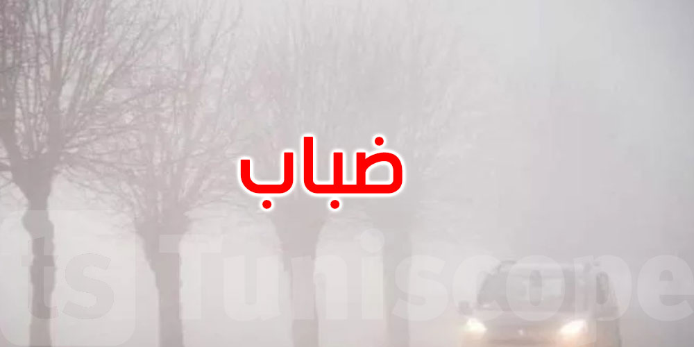 طقس اليوم: ضباب كثيف صباحا والحرارة بين 14 و20 درجة