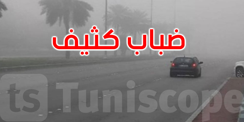 طقس اليوم: ضباب كثيف في الصباح والحرارة في استقرار