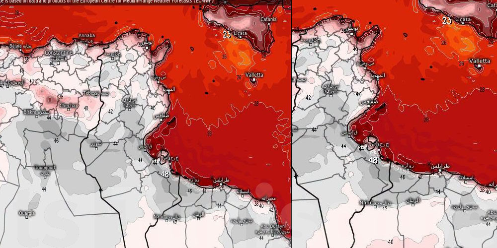 عاجل-محرز الغنوشي يقلّكم: ''مع حلول العشرية الثانية لجويلية كان كتب.. يتخبى التنين ويخرج ينفخ الشاليمو في بلاصطو''