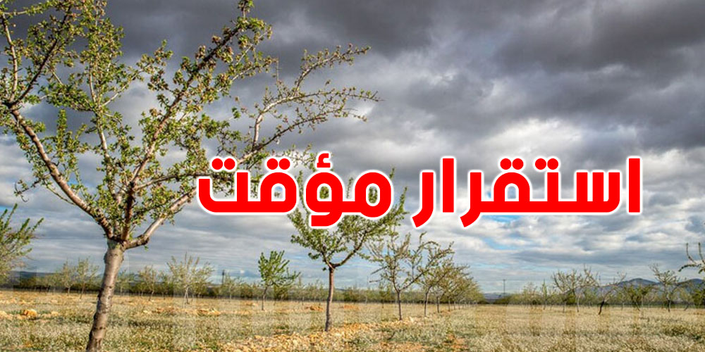 استقرار تام للطقس بعد غد الجمعة في تونس