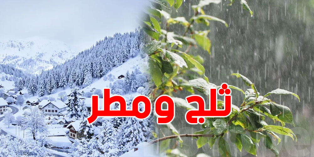 عاجل: عاصفة مطرية وثلوج تتجه نحو برشا دُول عربية