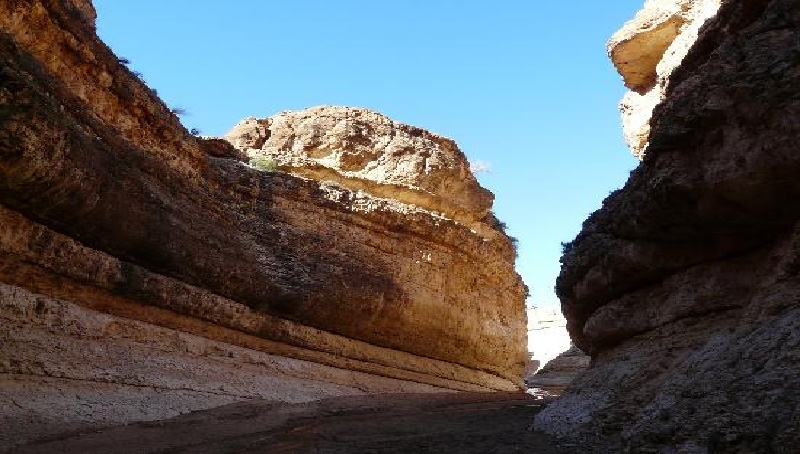 Une stratégie pour protéger et développer l'Oasis de Mides à Tozeur