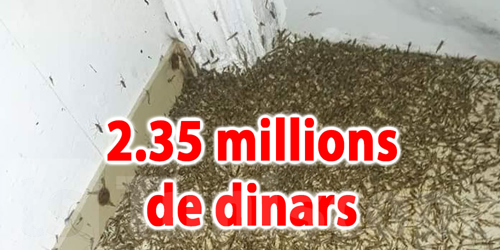 2.35 millions de dinars pour lutter contre les insectes