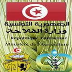 الوكالة العقارية الفلاحية تفتح مناظرة لانتداب 3 إطارات
