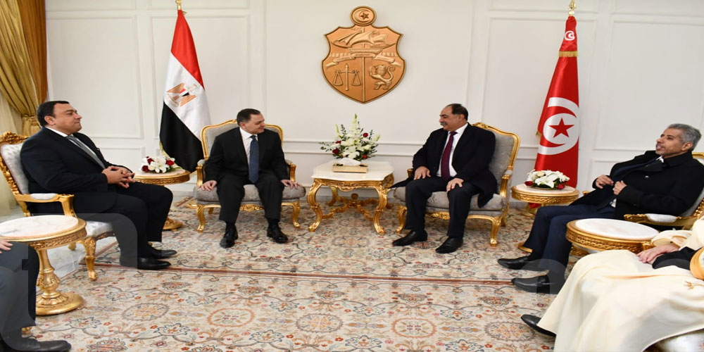 كمال الفقي يستقبل عددا من وزراء الداخلية العرب