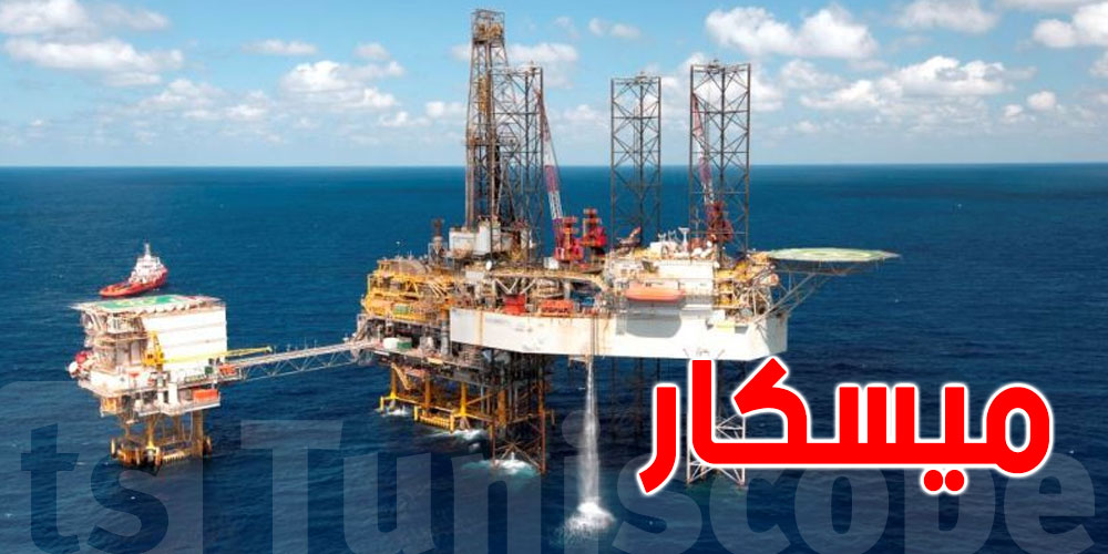 تونس تستعيد ملكية أكبر حقول الغاز ''ميسكار'' ..ماذا يعني ذلك؟