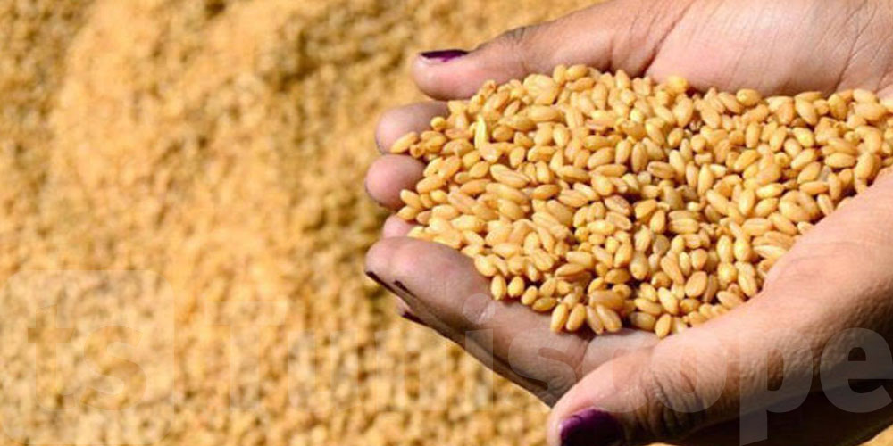 Pluies orageuses : appel à la vigilance pour protéger les stocks de céréales