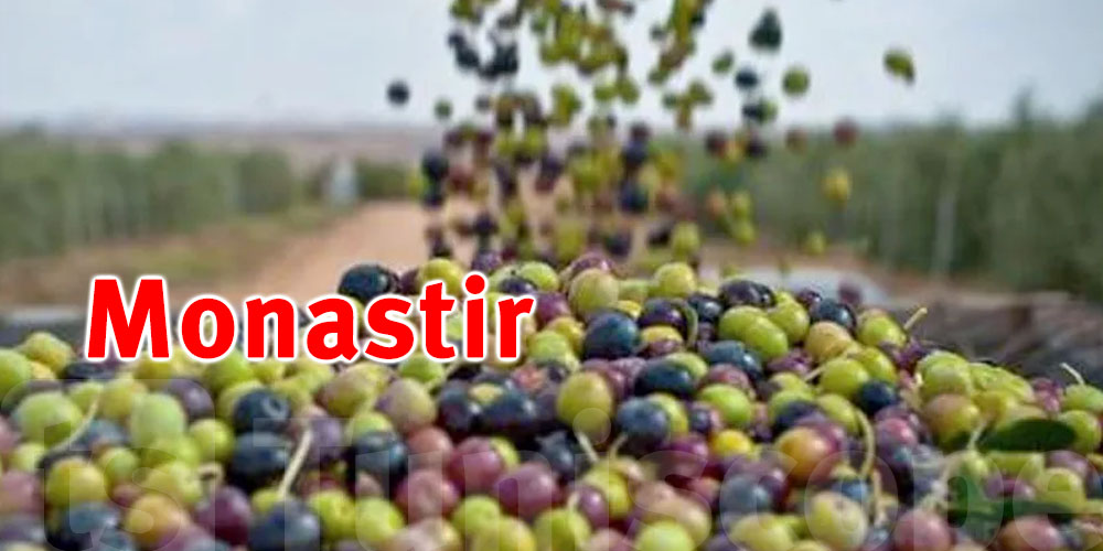 Monastir: La récolte des olives estimée à 82 mille tonnes