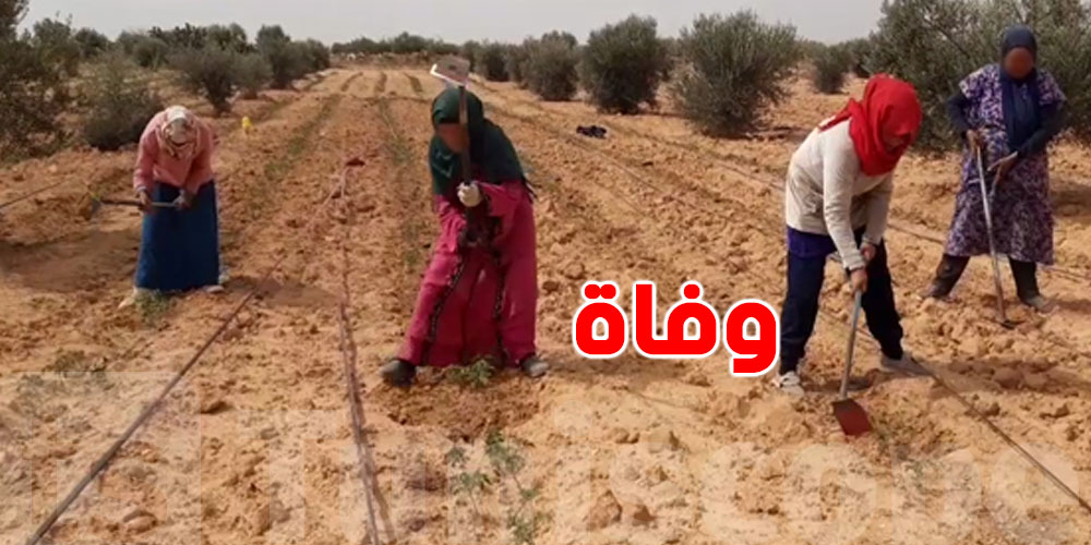 مؤلم: في قلب الضيعة.. ضربة شمس تودي بحياة عاملة فلاحية