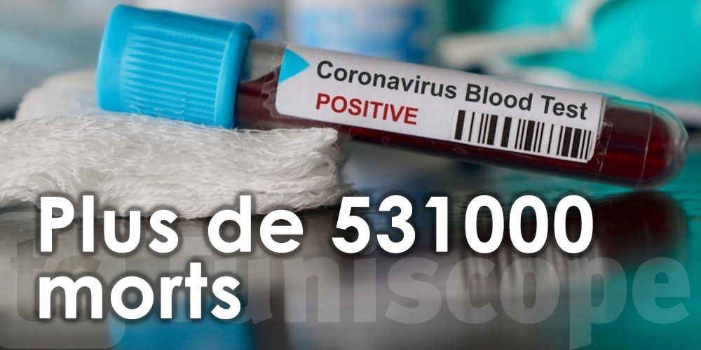Plus de 531 000 morts dans le monde