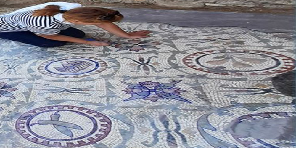 اكتشاف أثري جديد يثير جدلا حول أصل نبتة الفلفل في تونس